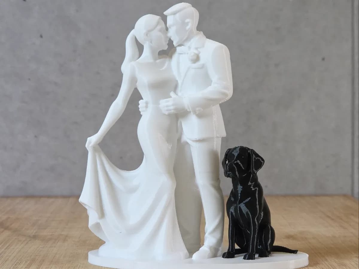 Casal de Noivos com Cachorro Redimensionáveis