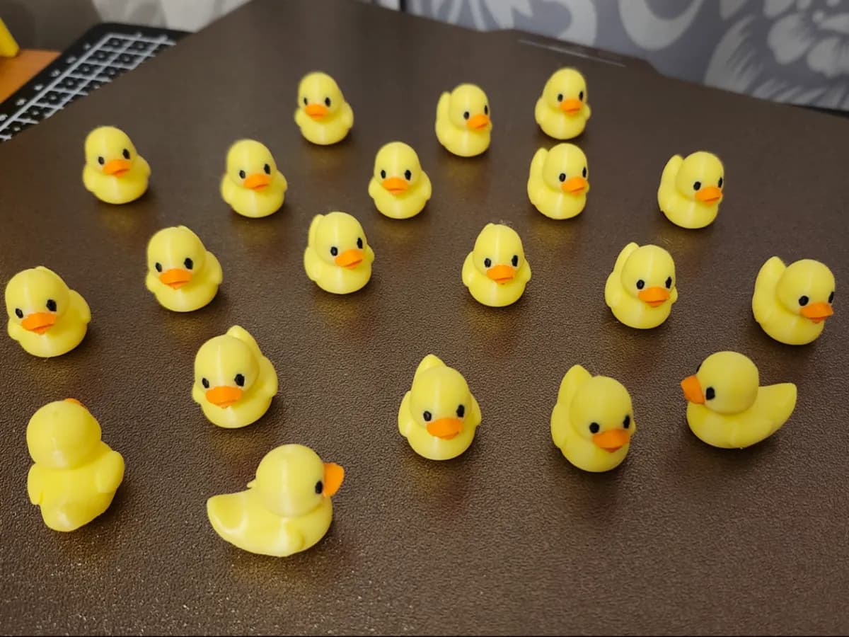 Mini duck