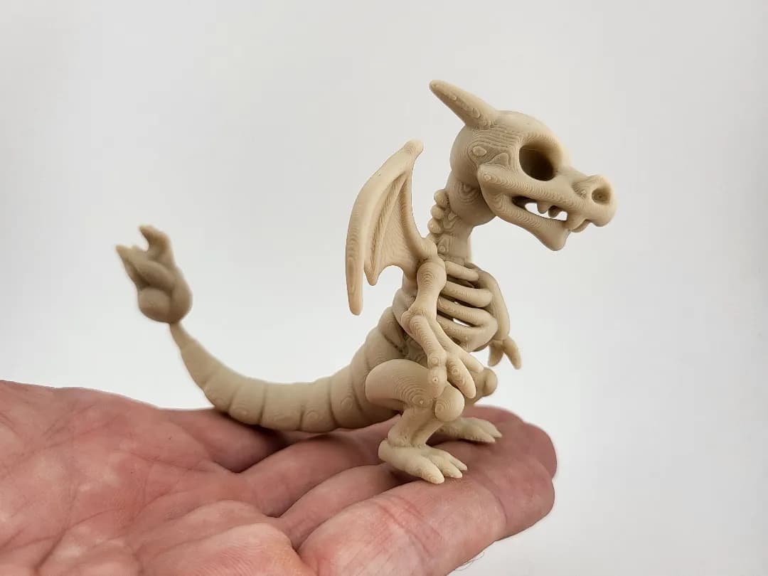 Charizard pokemon Skeleton Figure Dragon Fossil