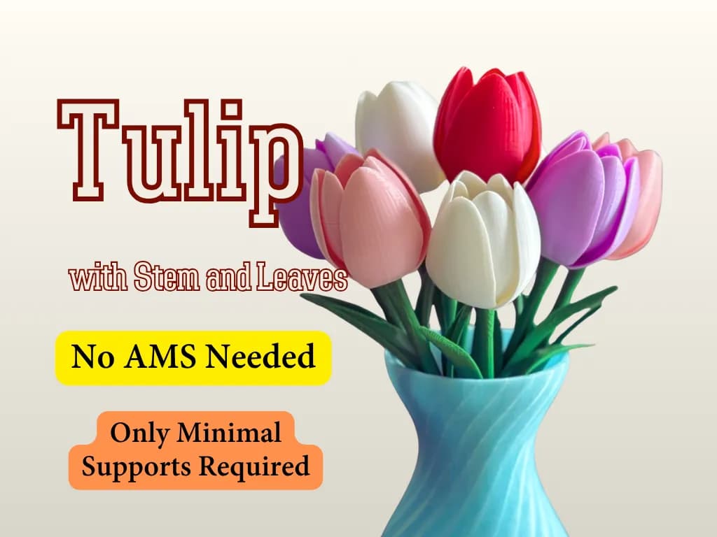 Tulip with stem and leaves