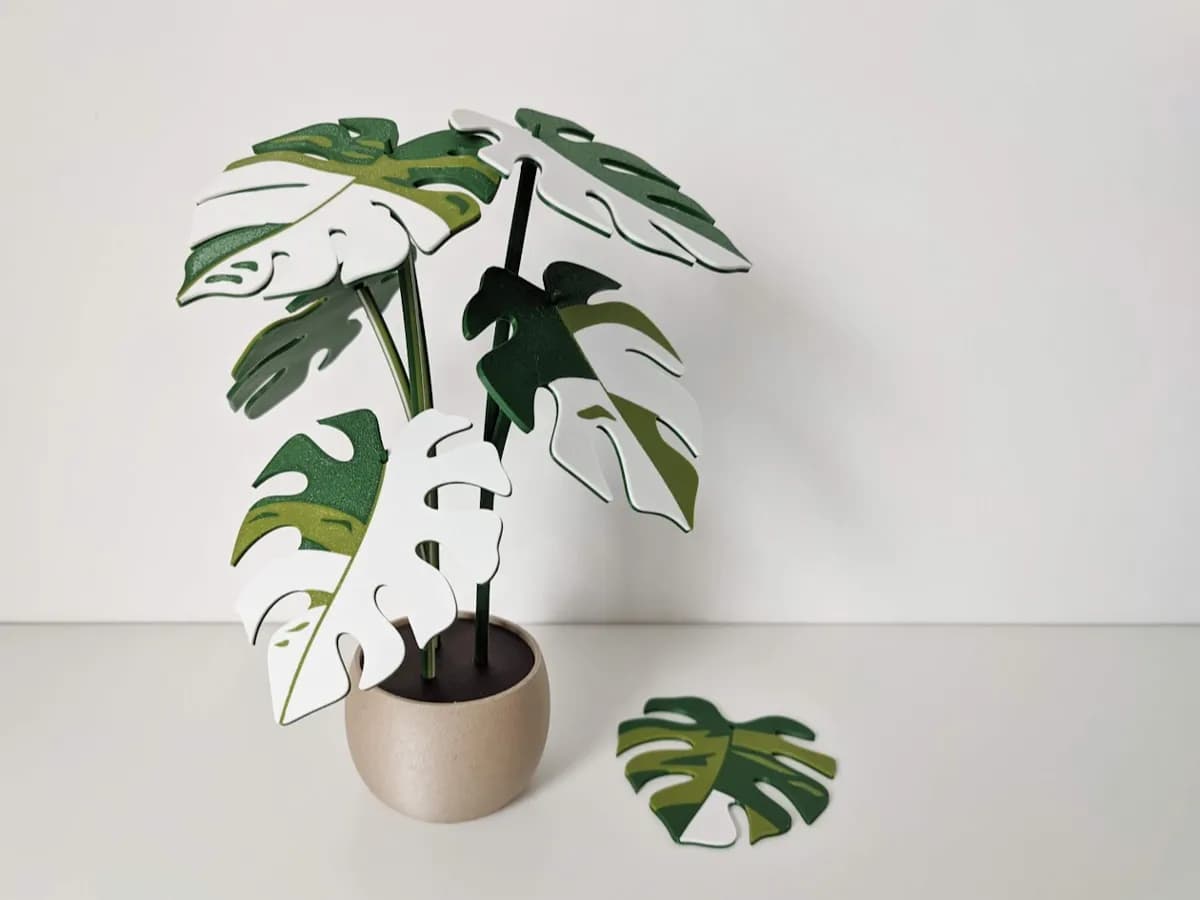Porta-Copos Folha de Monstera