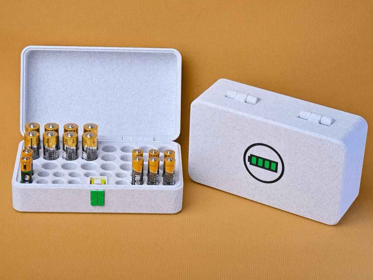 Battery Storage Box (AA and AAA Batteries)