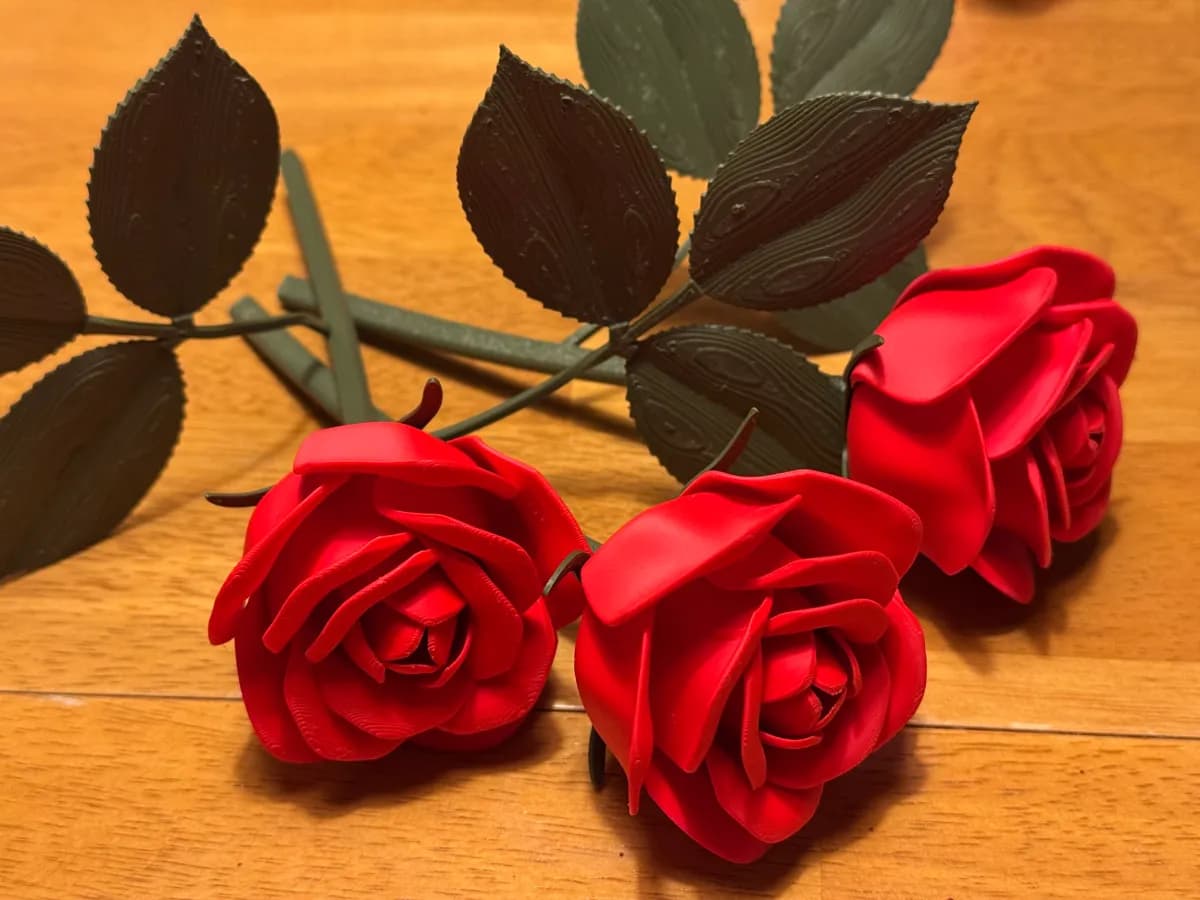 roses with 5 types of stem ( no support )
