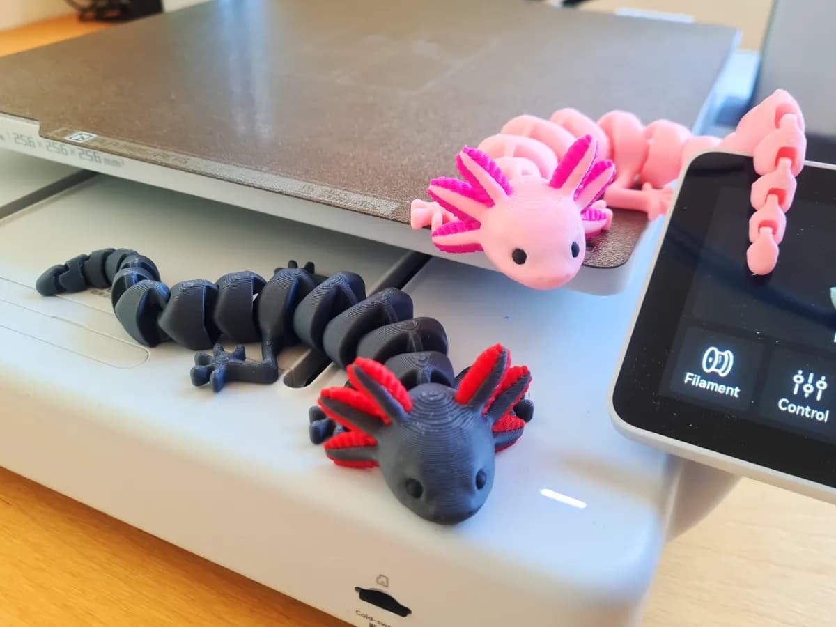 Articulated Axolotl (Multicolor)
