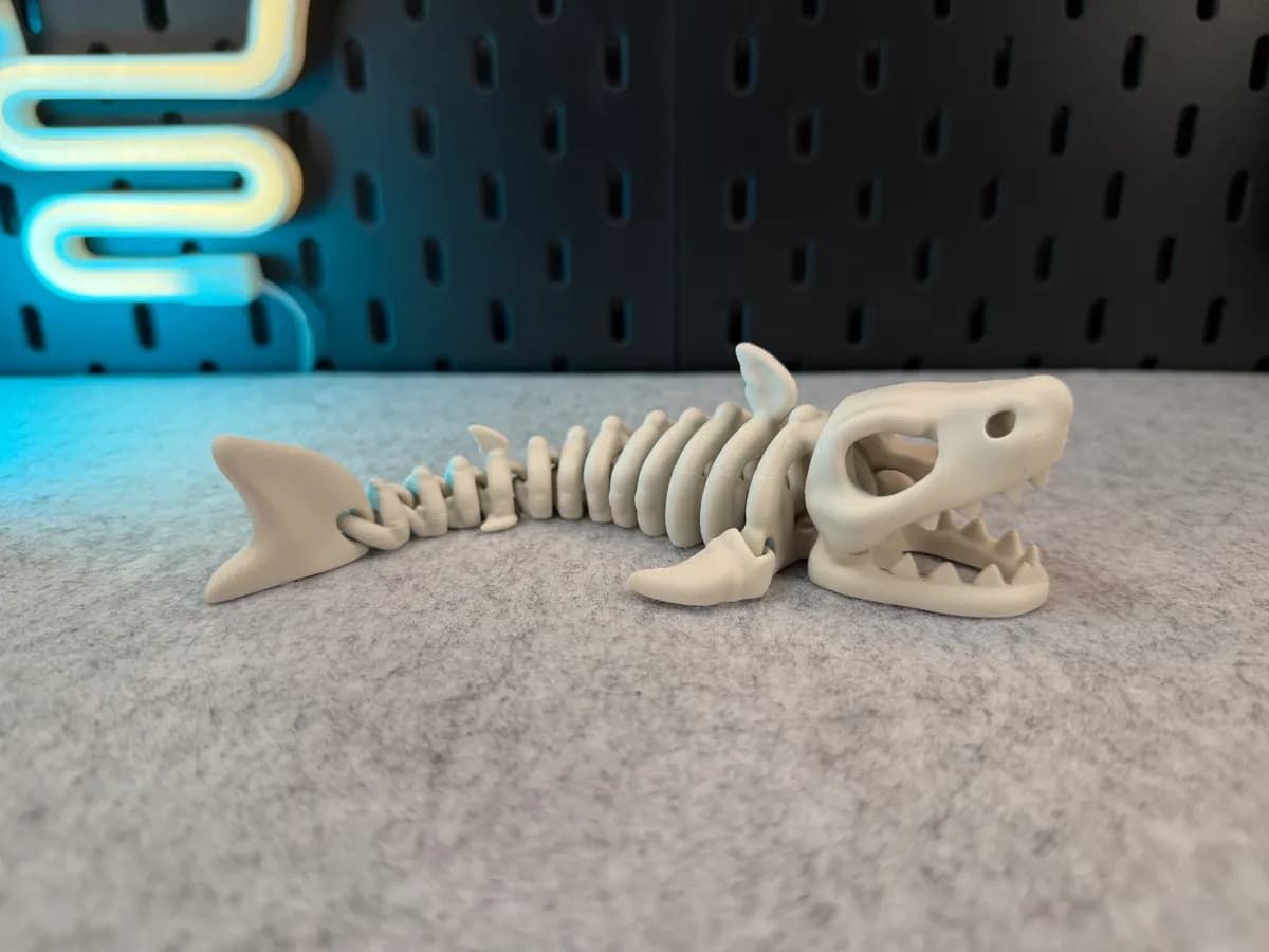 Articulated Skeleton Shark