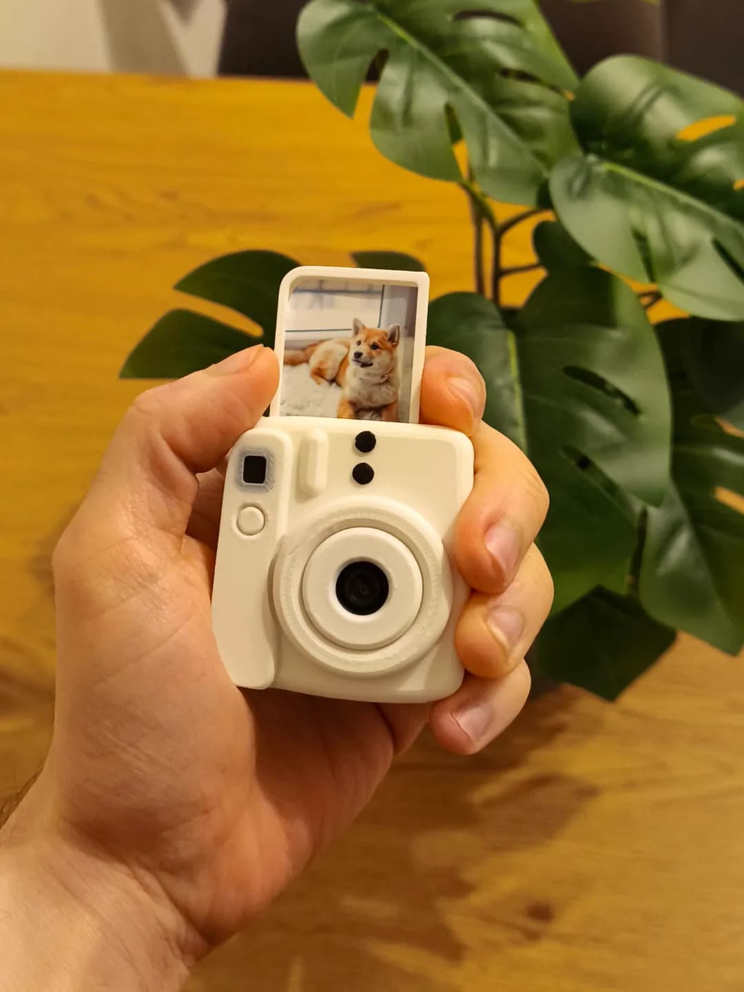 Chaveiro Mini Câmera Instantânea